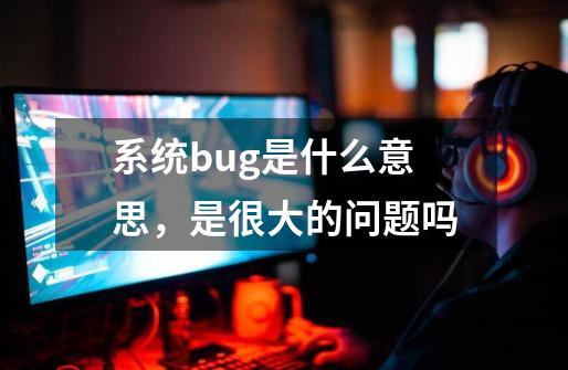 系统bug是什么意思，是很大的问题吗-第1张-游戏资讯-智辉网络