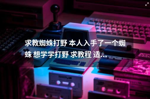 求教蜘蛛打野 本人入手了一个蜘蛛 想学学打野 求教程 适合新手那种 不要告诉我去看钻一选手 例-第1张-游戏资讯-智辉网络