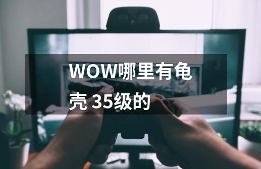 WOW哪里有龟壳 35级的-第1张-游戏资讯-智辉网络