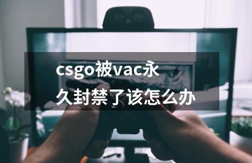 csgo被vac永久封禁了该怎么办-第1张-游戏资讯-智辉网络