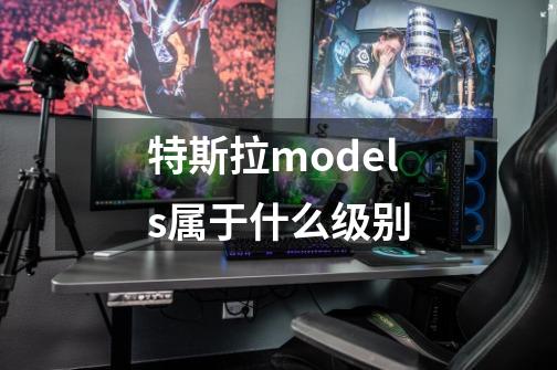 特斯拉models属于什么级别-第1张-游戏资讯-智辉网络