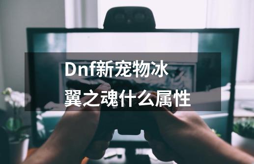 Dnf新宠物冰翼之魂什么属性-第1张-游戏资讯-智辉网络