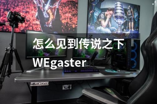 怎么见到传说之下W.E.gaster-第1张-游戏资讯-智辉网络