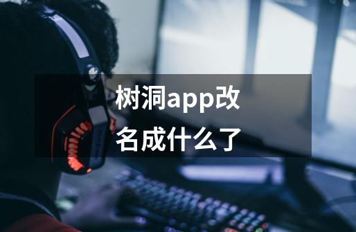 树洞app改名成什么了-第1张-游戏资讯-智辉网络