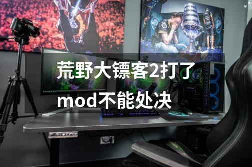 荒野大镖客2打了mod不能处决-第1张-游戏资讯-智辉网络