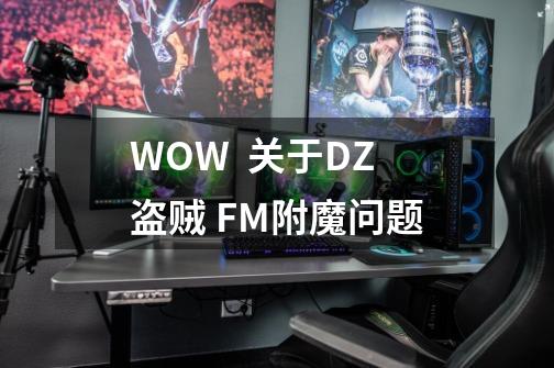 WOW  关于DZ盗贼 FM附魔问题-第1张-游戏资讯-智辉网络