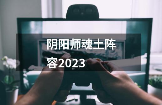 阴阳师魂土阵容2023-第1张-游戏资讯-智辉网络