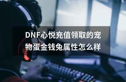 DNF心悦充值领取的宠物蛋金钱兔属性怎么样-第1张-游戏资讯-智辉网络