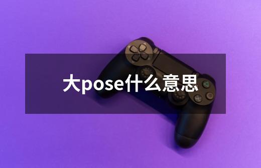 大pose什么意思-第1张-游戏资讯-智辉网络