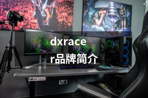 dxracer品牌简介-第1张-游戏资讯-智辉网络