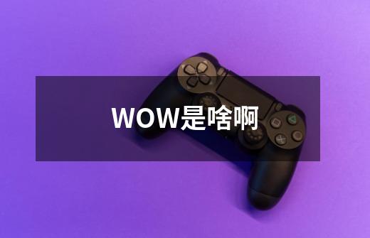 WOW是啥啊-第1张-游戏资讯-智辉网络