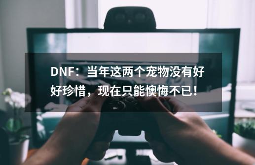 DNF：当年这两个宠物没有好好珍惜，现在只能懊悔不已！-第1张-游戏资讯-智辉网络