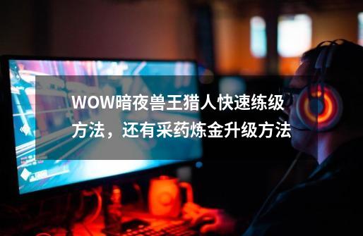 WOW暗夜兽王猎人快速练级方法，还有采药炼金升级方法-第1张-游戏资讯-智辉网络