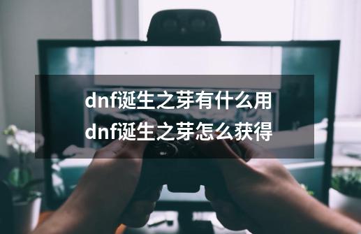 dnf诞生之芽有什么用 dnf诞生之芽怎么获得-第1张-游戏资讯-智辉网络