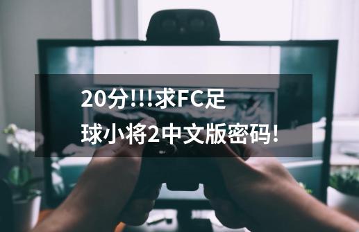 20分!!!求FC足球小将2中文版密码!-第1张-游戏资讯-智辉网络