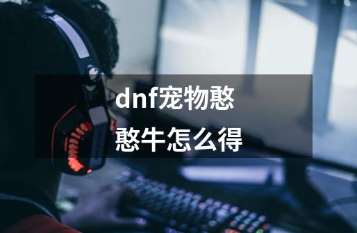 dnf宠物憨憨牛怎么得-第1张-游戏资讯-智辉网络