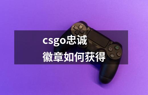 csgo忠诚徽章如何获得-第1张-游戏资讯-智辉网络