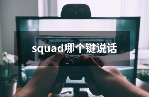 squad哪个键说话-第1张-游戏资讯-智辉网络