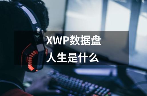 XWP数据盘人生是什么-第1张-游戏资讯-智辉网络