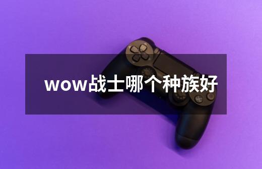 wow战士哪个种族好-第1张-游戏资讯-智辉网络