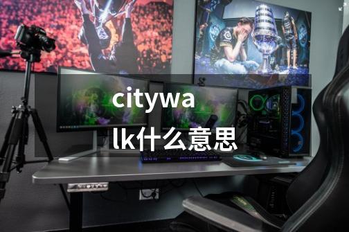 citywalk什么意思-第1张-游戏资讯-智辉网络