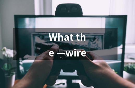 What the —wire-第1张-游戏资讯-智辉网络