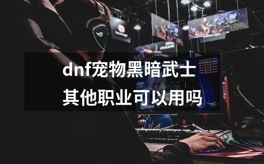 dnf宠物黑暗武士其他职业可以用吗-第1张-游戏资讯-智辉网络