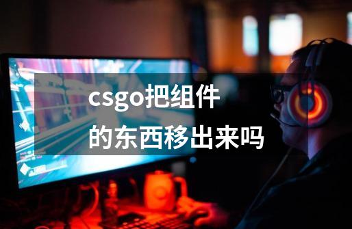 csgo把组件的东西移出来吗-第1张-游戏资讯-智辉网络