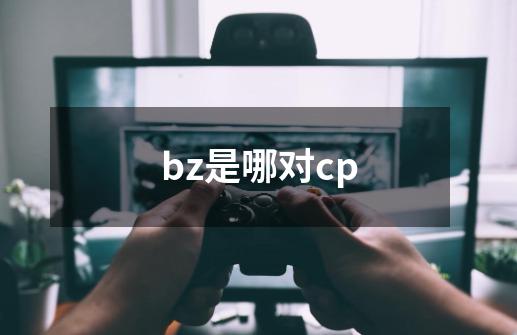 bz是哪对cp-第1张-游戏资讯-智辉网络