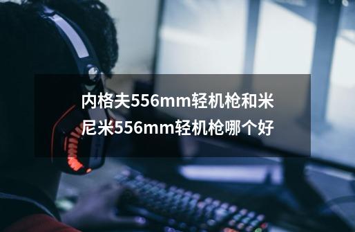 内格夫5.56mm轻机枪和米尼米5.56mm轻机枪哪个好-第1张-游戏资讯-智辉网络