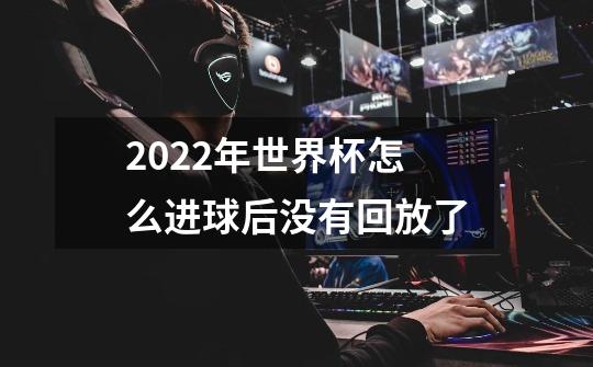 2022年世界杯怎么进球后没有回放了-第1张-游戏资讯-智辉网络