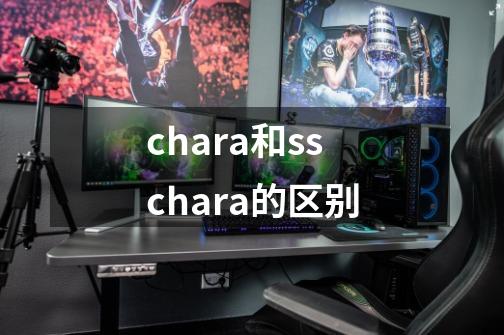 chara和sschara的区别-第1张-游戏资讯-智辉网络