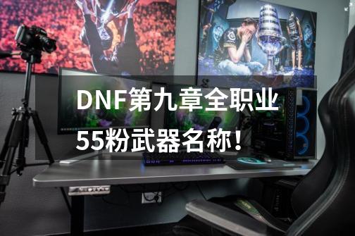 DNF第九章全职业55粉武器名称！-第1张-游戏资讯-智辉网络