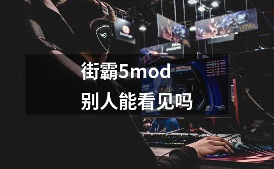 街霸5mod别人能看见吗-第1张-游戏资讯-智辉网络