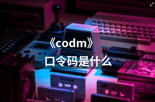 《codm》口令码是什么-第1张-游戏资讯-智辉网络