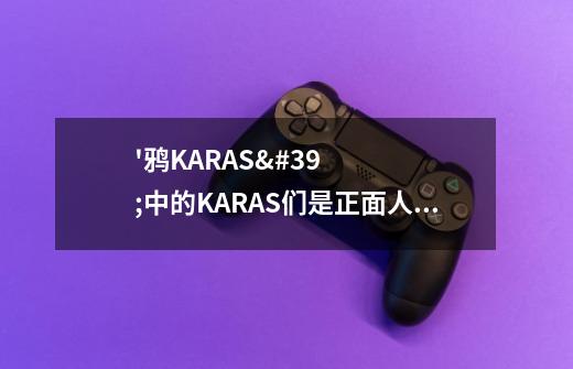 '鸦KARAS'中的KARAS们是正面人物还是反面人物-第1张-游戏资讯-智辉网络