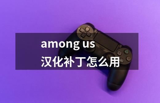 among us汉化补丁怎么用-第1张-游戏资讯-智辉网络