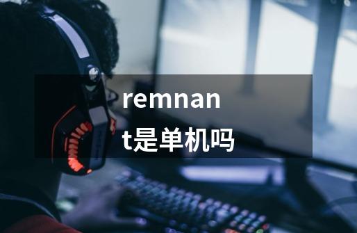 remnant是单机吗-第1张-游戏资讯-智辉网络