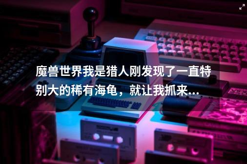 魔兽世界我是猎人刚发现了一直特别大的稀有海龟，就让我抓来当宠物了，不知道好不好，谁认识这是什么龟啊-第1张-游戏资讯-智辉网络