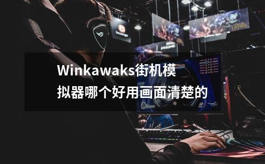 Winkawaks街机模拟器哪个好用画面清楚的-第1张-游戏资讯-智辉网络