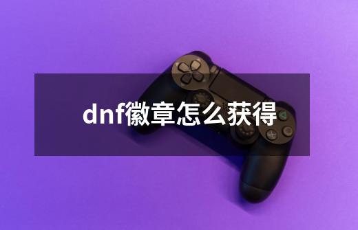 dnf徽章怎么获得-第1张-游戏资讯-智辉网络