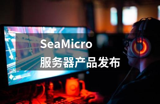 SeaMicro服务器产品发布-第1张-游戏资讯-智辉网络