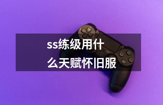 ss练级用什么天赋怀旧服-第1张-游戏资讯-智辉网络