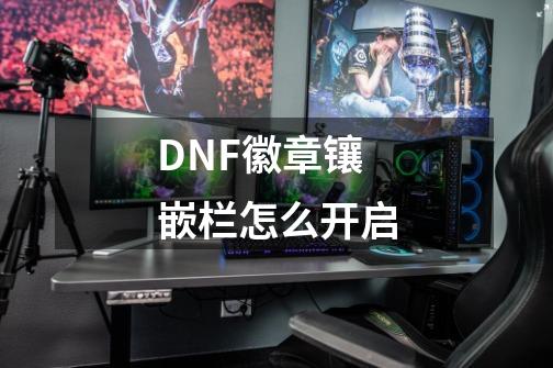 DNF徽章镶嵌栏怎么开启-第1张-游戏资讯-智辉网络