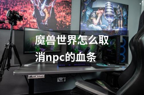 魔兽世界怎么取消npc的血条-第1张-游戏资讯-智辉网络