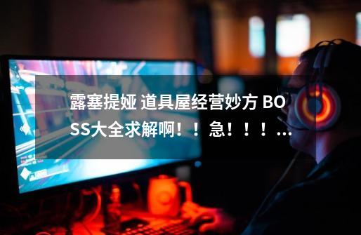 露塞提娅 道具屋经营妙方 BOSS大全求解啊！！急！！！！-第1张-游戏资讯-智辉网络