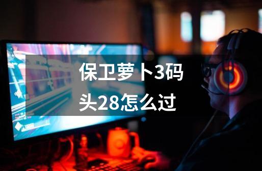 保卫萝卜3码头28怎么过-第1张-游戏资讯-智辉网络