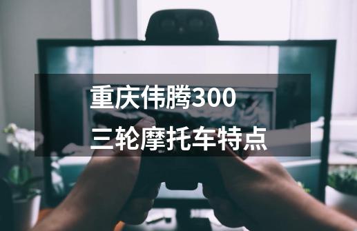 重庆伟腾300三轮摩托车特点-第1张-游戏资讯-智辉网络