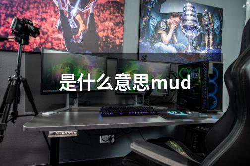 是什么意思mud-第1张-游戏资讯-智辉网络