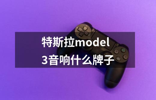 特斯拉model3音响什么牌子-第1张-游戏资讯-智辉网络